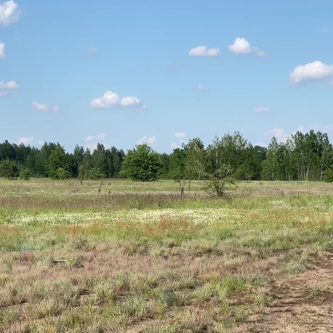 Ukrayna, Rus Drone Tehditlerine Karşı Otonom Önleyicileri Devreye Sokuyor