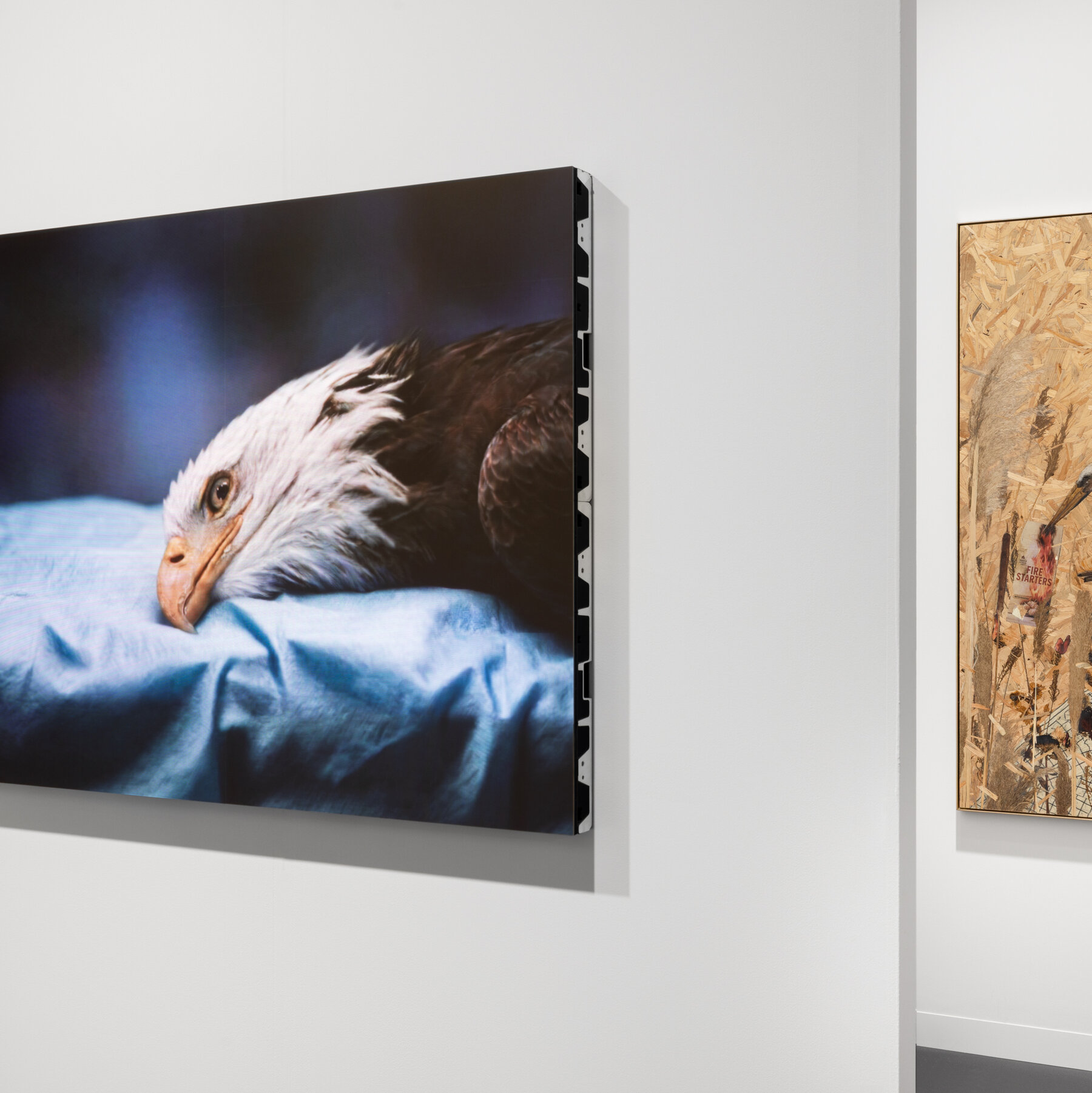 Art Basel, Canlı Müzayede Atmosferiyle Parladı; Galericiler Zorlu İş Ortamıyla Karşı Karşıya