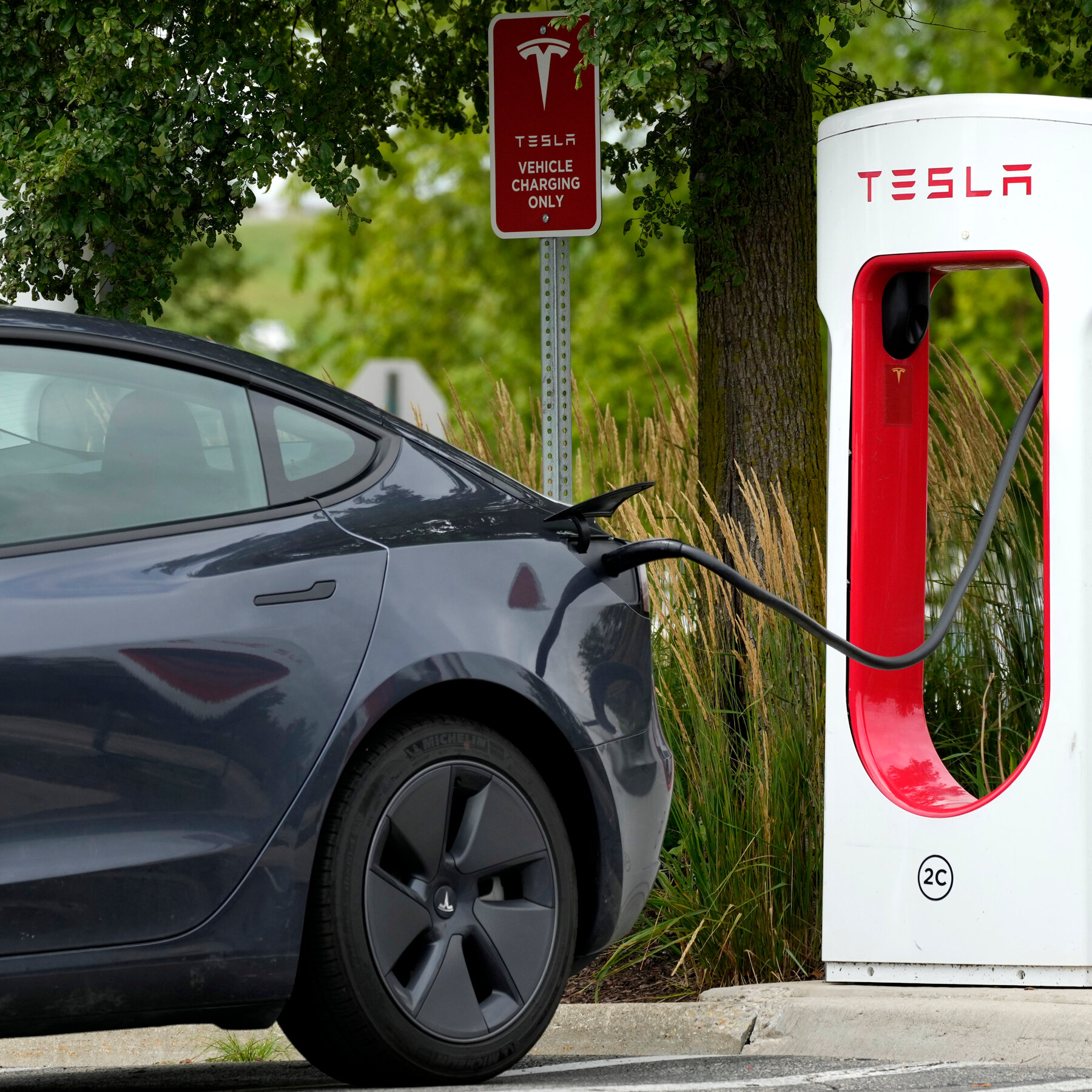 Tesla Satışları Avrupa’da Artıyor, Elon Musk’a Karışık Tepkiler
