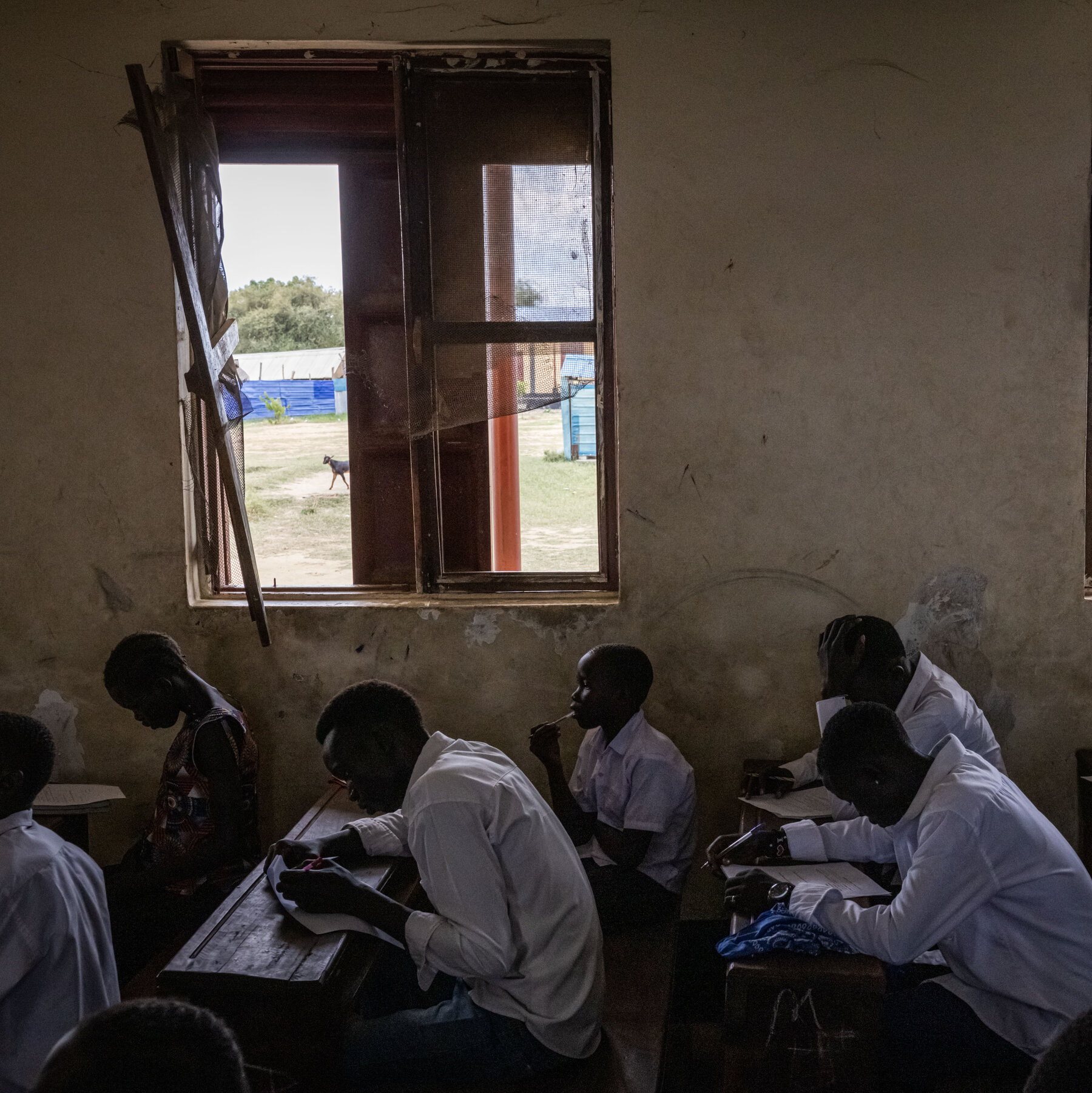 Ödemesiz Öğretmenler, Güney Sudan'ın Eğitim Sisteminin Çöküşünü Önlemek İçin Mücadele Ediyor