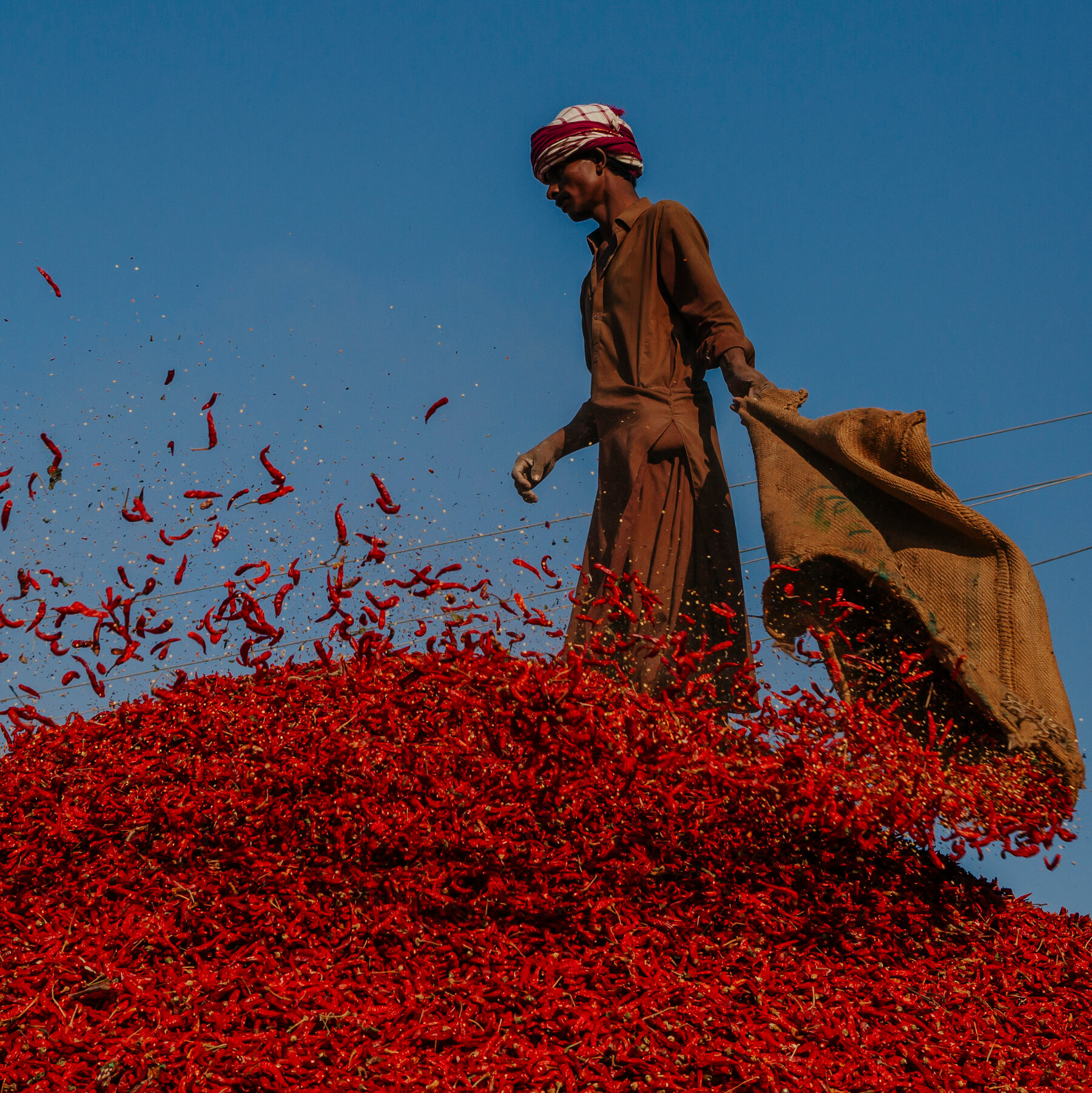 Pakistan'ın Kırmızı Biber Başkenti Tehlike Altında