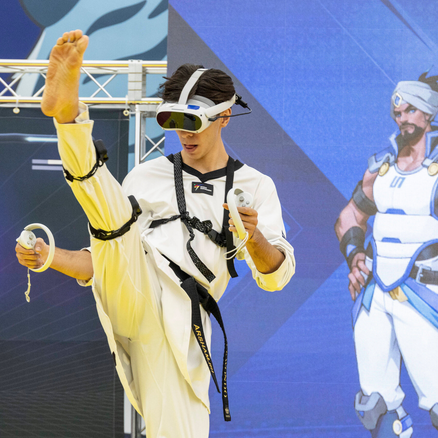Virtual Taekwondo Removes Physical Contact From the Korean Martial Art